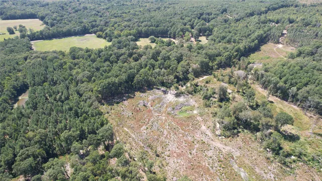 $165,000 | 0 Plainview Road, Pineland, TX 75968