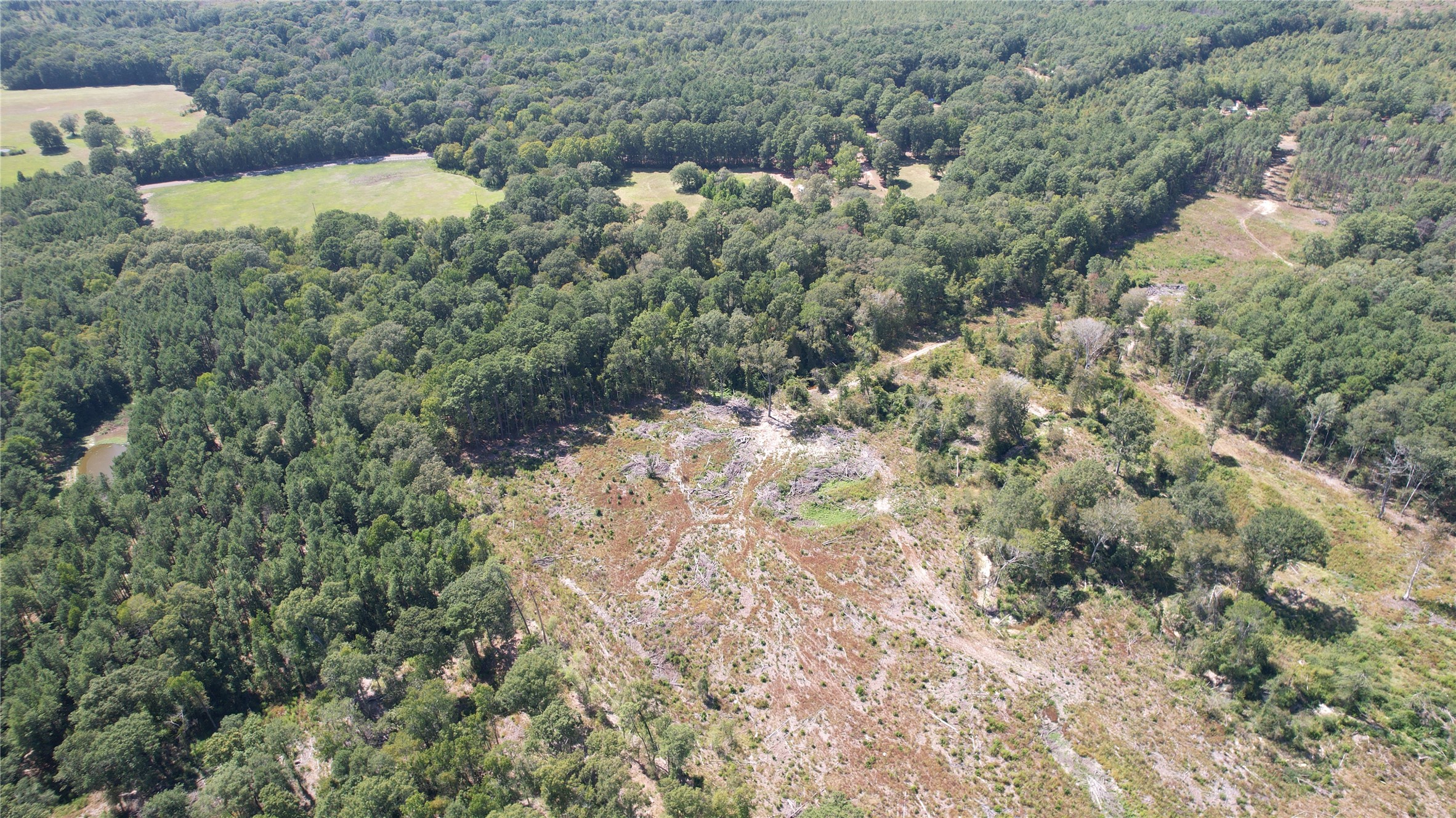 0 Plainview Road Pineland, TX 75968 - Photo 4 of 6