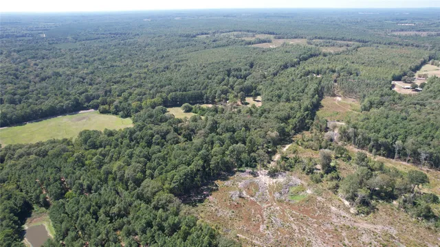 $165,000 | 0 Plainview Road, Pineland, TX 75968