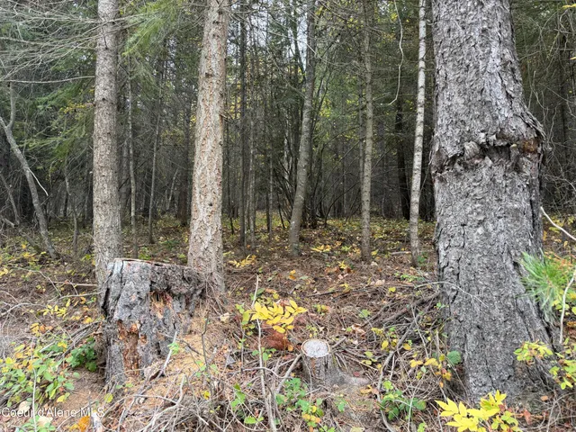 $140,000 | Nka Parker Canyon Road, Bonners Ferry, ID 83805