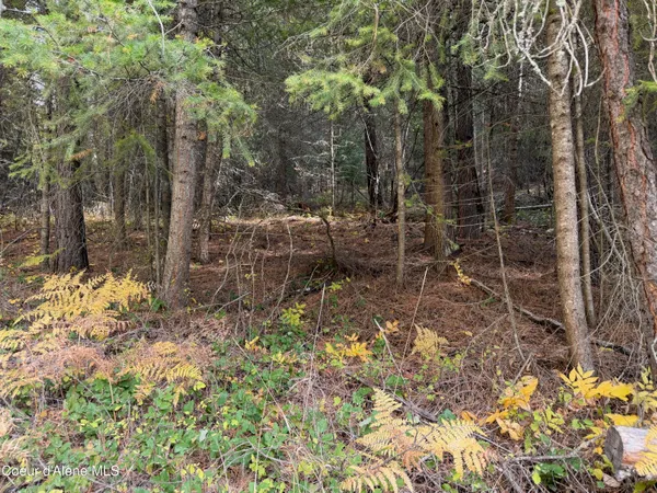 $140,000 | Nka Parker Canyon Road, Bonners Ferry, ID 83805