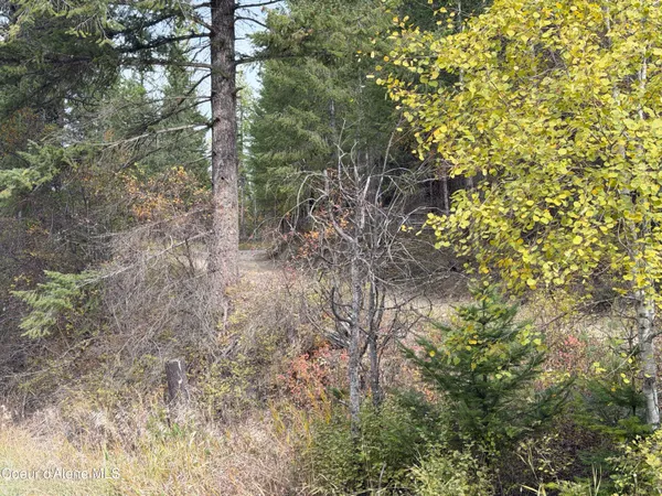 $140,000 | Nka Parker Canyon Road, Bonners Ferry, ID 83805