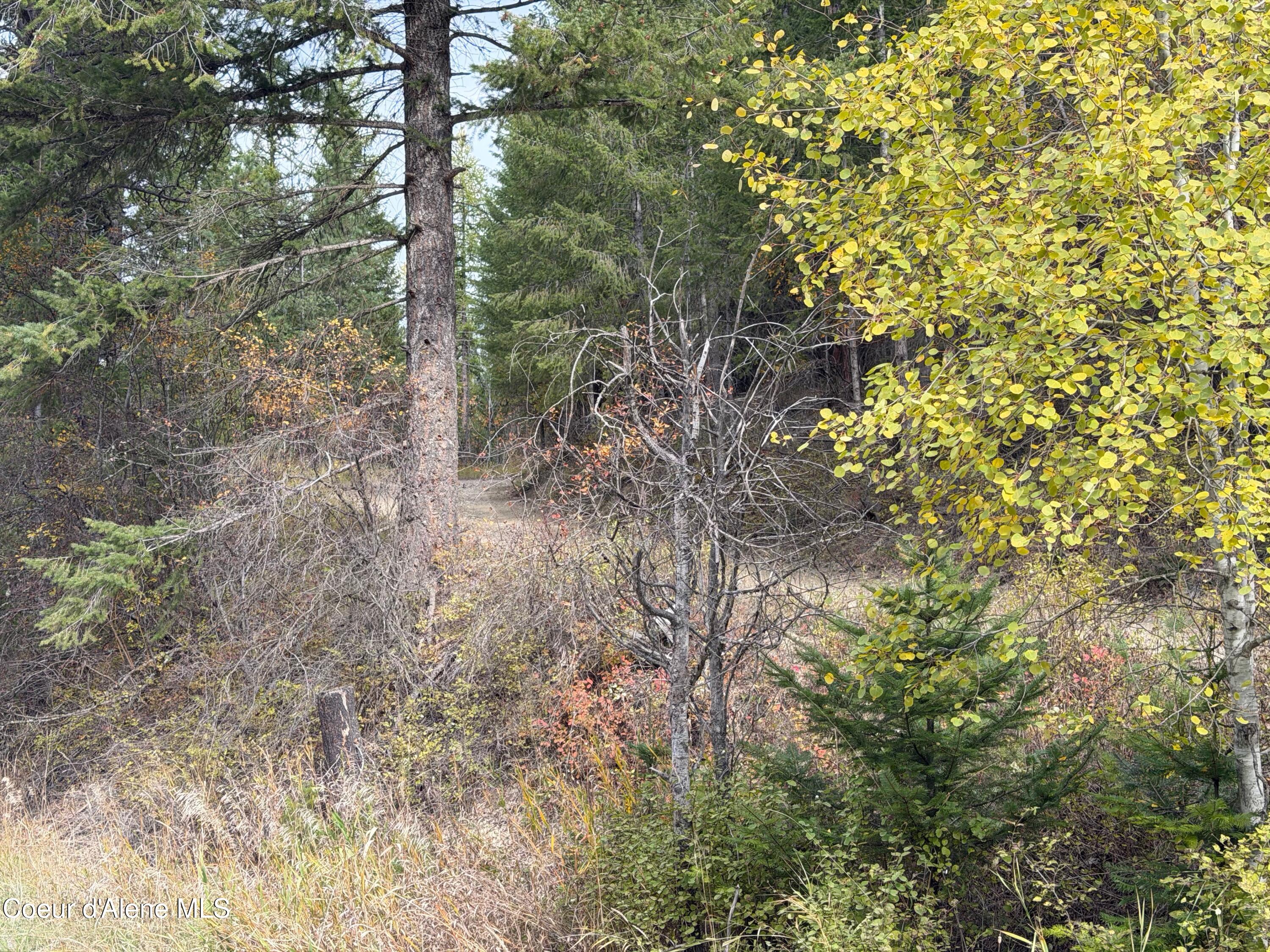Nka Parker Canyon Road Bonners Ferry, ID 83805 - Photo 3 of 5 IMG_2535