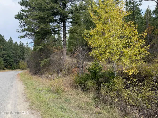 $140,000 | Nka Parker Canyon Road, Bonners Ferry, ID 83805