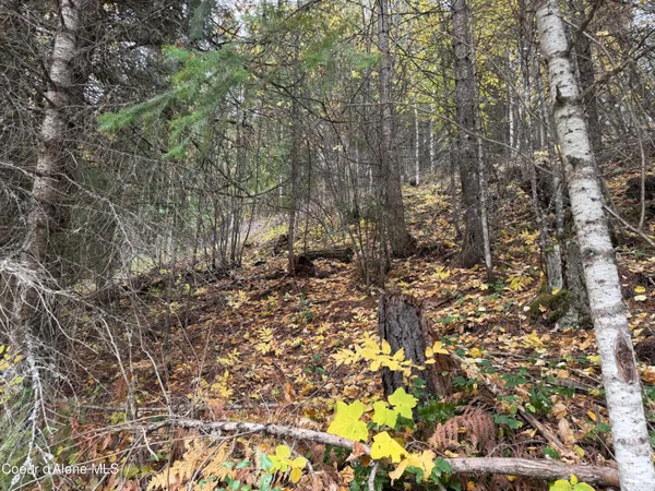 $140,000 | Nka Parker Canyon Road, Bonners Ferry, ID 83805