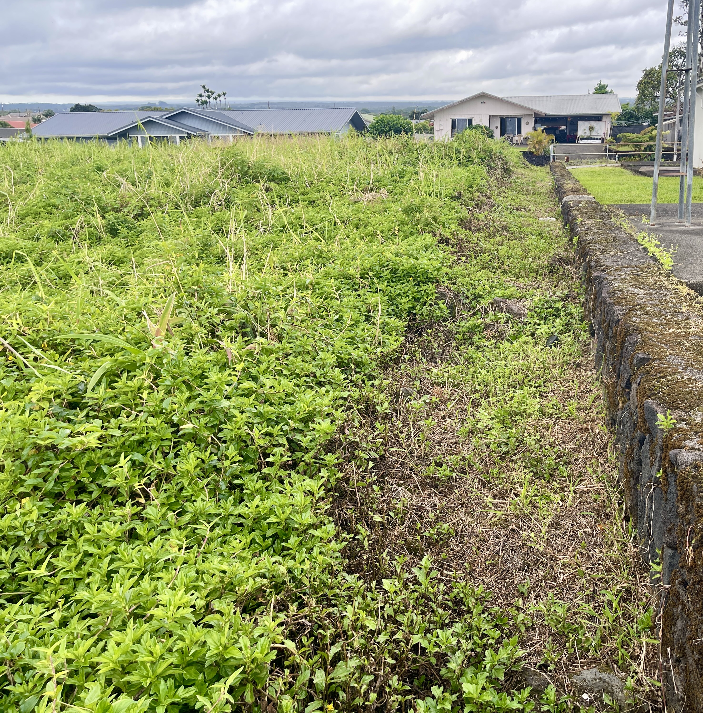 6 Lot Hilo, HI 96720 - Photo 12 of 18 a view of a yard with an outdoor space