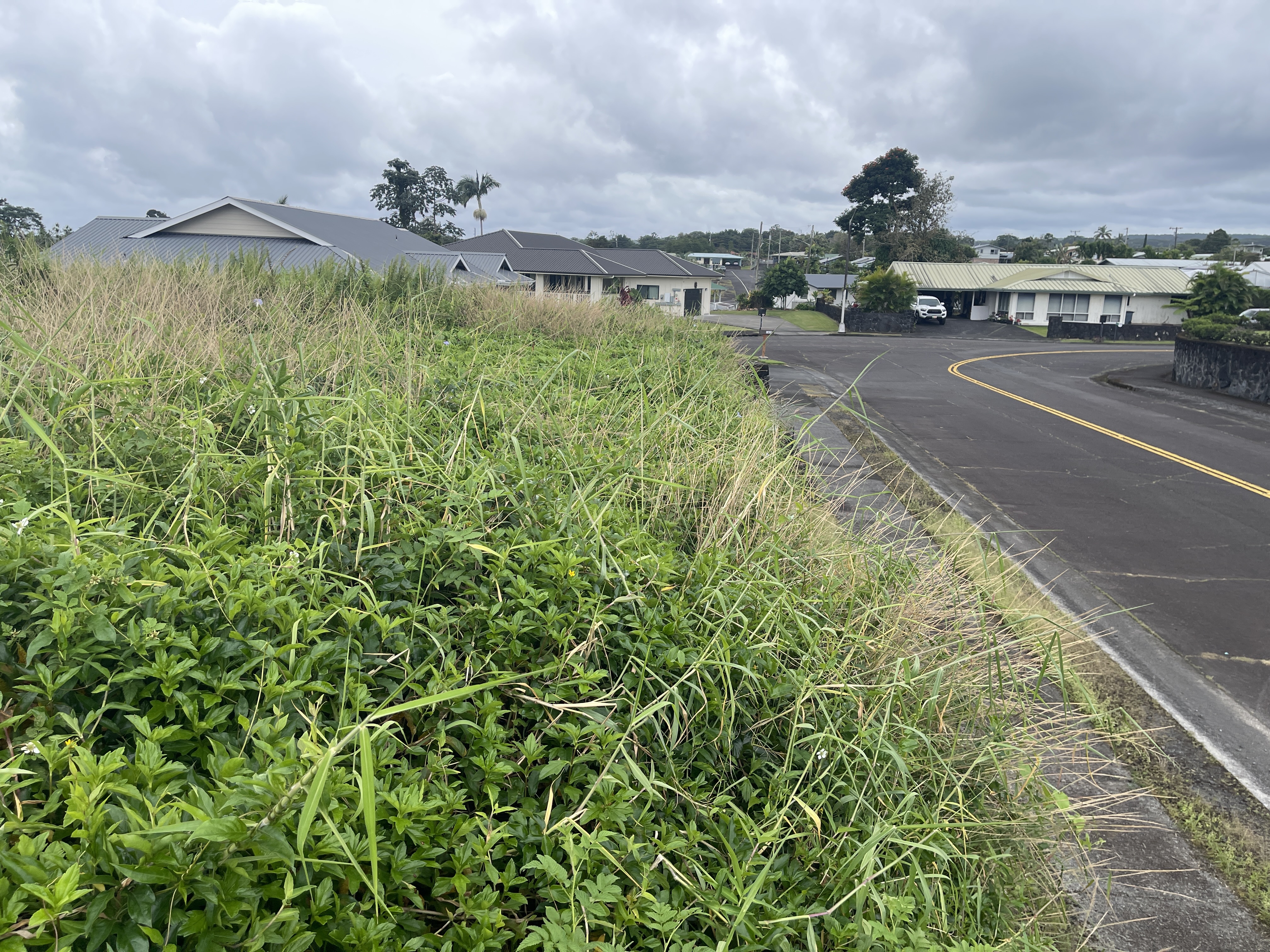 6 Lot Hilo, HI 96720 - Photo 14 of 18 a picture of a building and a yard in back