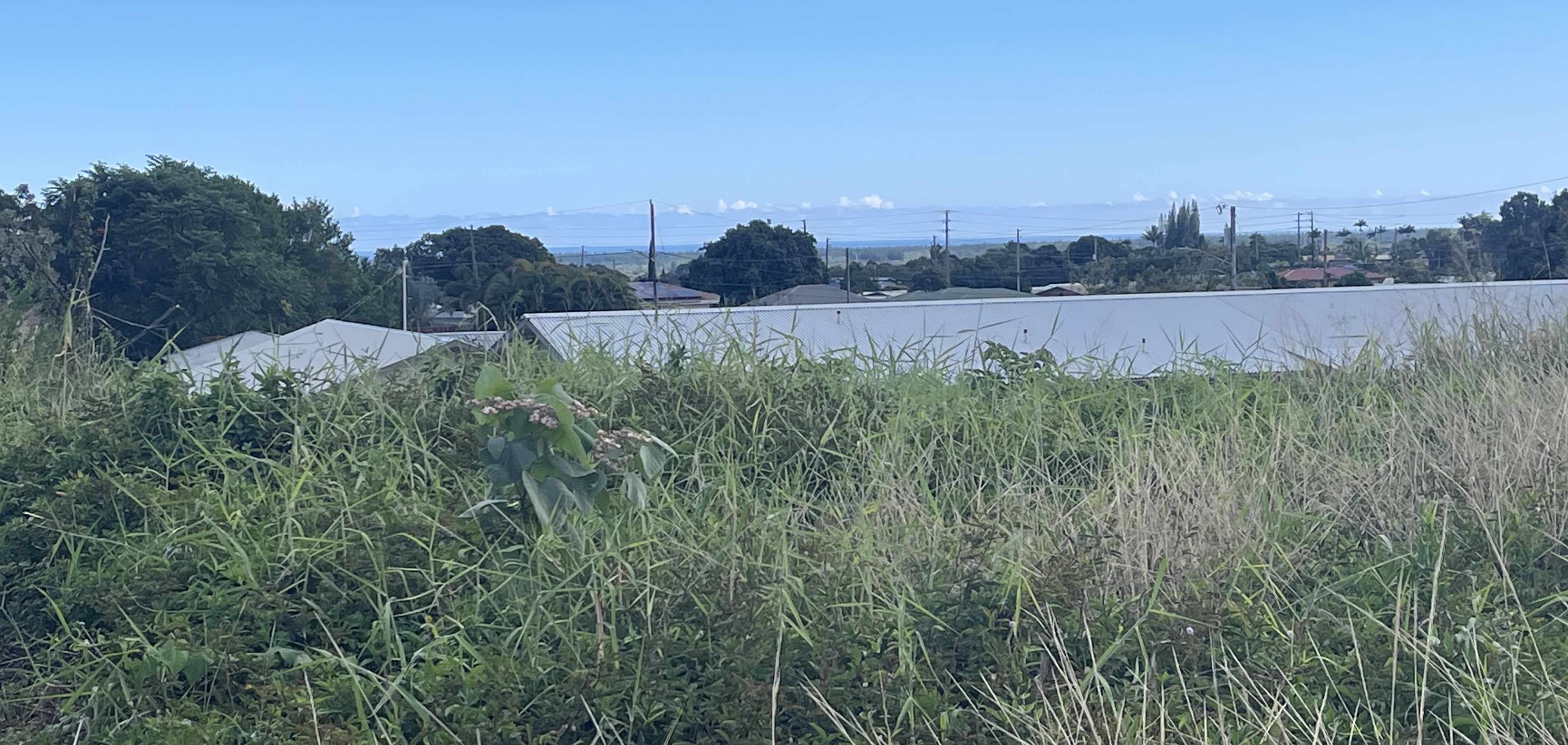 6 Lot Hilo, HI 96720 - Photo 16 of 18 a view of a lush green field