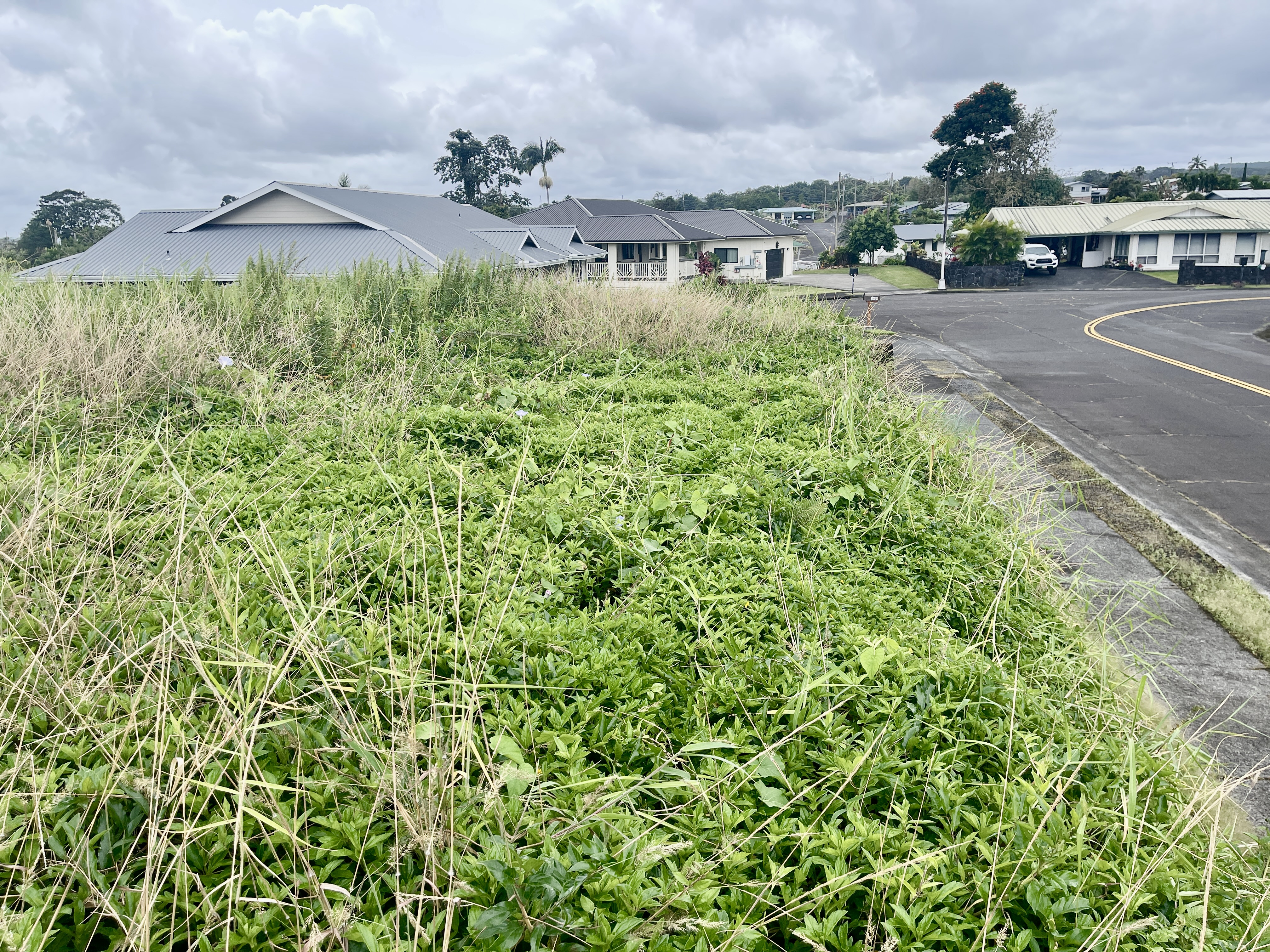 6 Lot Hilo, HI 96720 - Photo 7 of 18 a view of a street with a building in the background