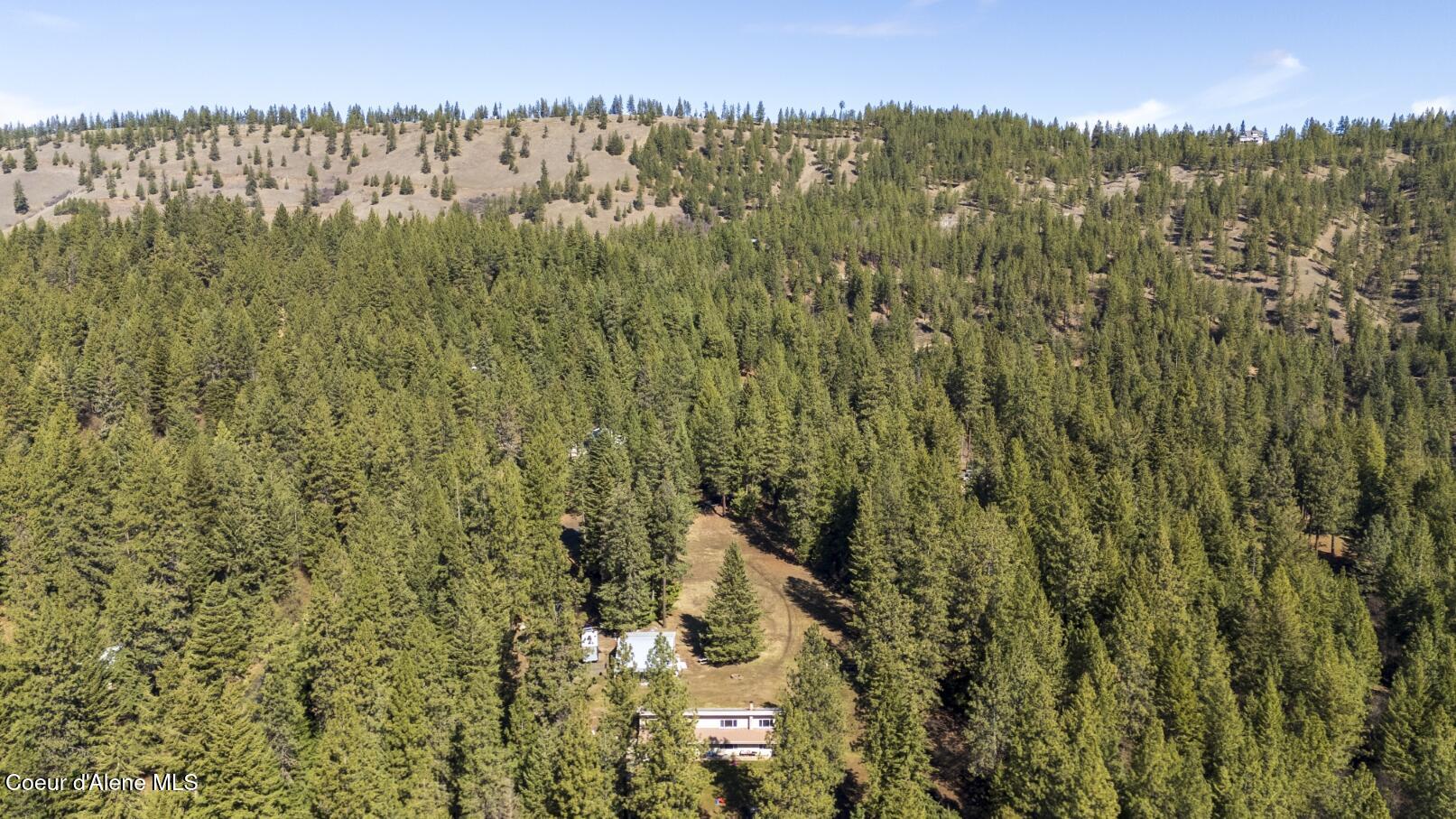 905 Cassandra Hills Road St. Maries, ID 83861 - Photo 4 of 27 905 Cassandra Hills0005 (Compressed)