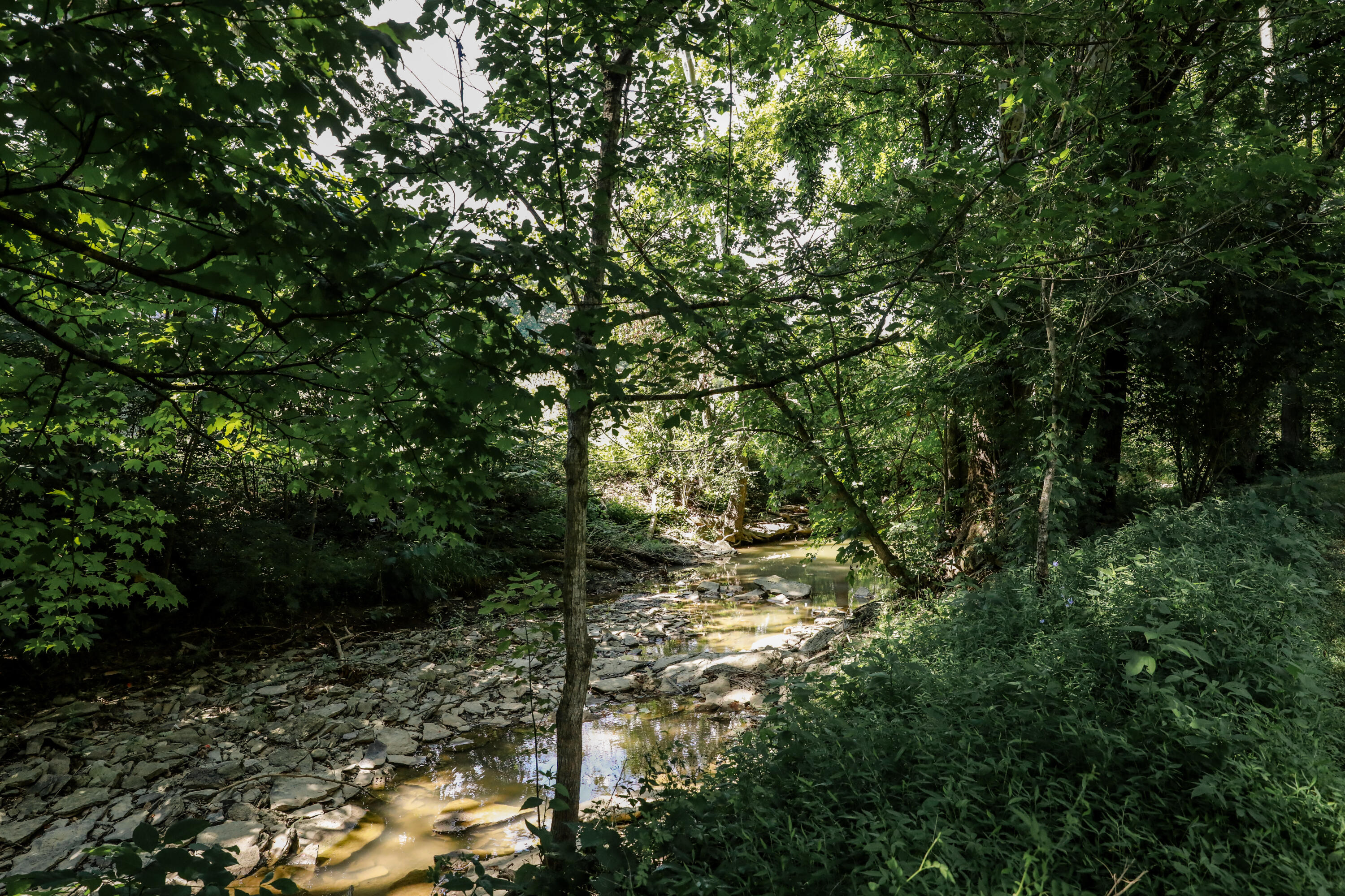 10241 Marshall Road Covington, KY 41015 - Photo 45 of 47