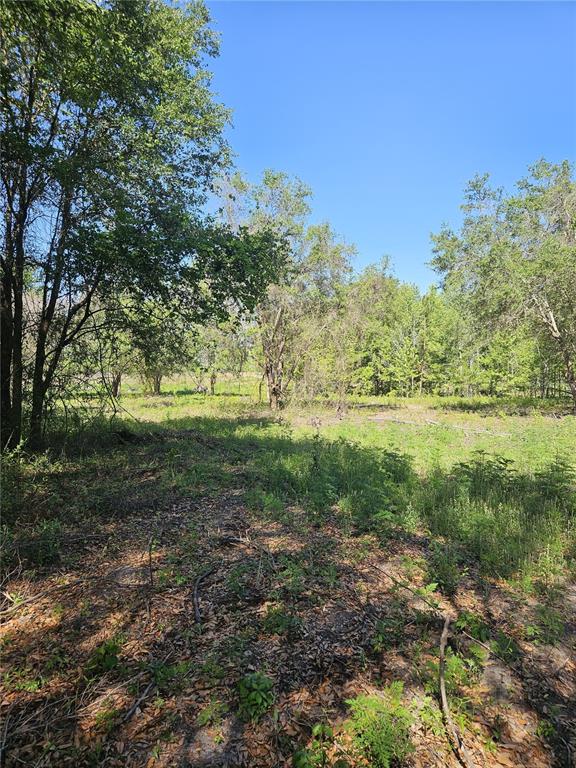 0 Southwest Mixson Road Lake City, FL 32024 - Photo 6 of 34 Gallery Image 6