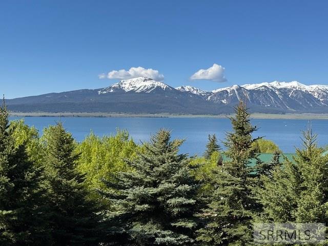 3885 Teton Road Island Park, ID 83429 - Photo 20 of 21
