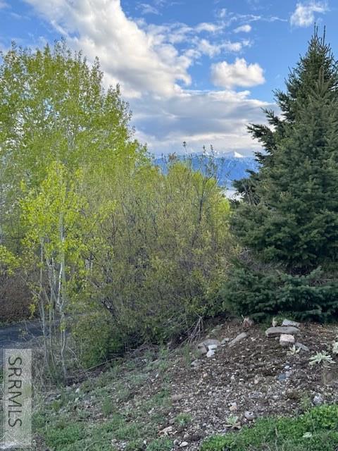3885 Teton Road Island Park, ID 83429 - Photo 21 of 21
