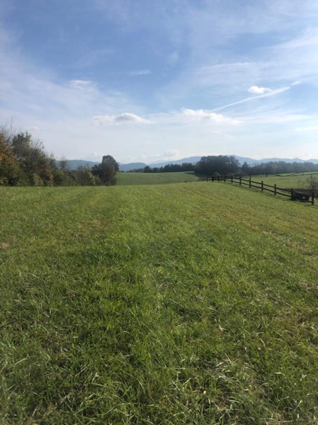 0 Links Mill Road Greeneville, TN 37743 - Photo 4 of 7 lm4