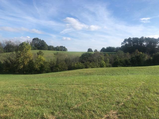 0 Links Mill Road Greeneville, TN 37743 - Photo 5 of 7 lm5