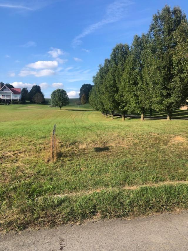 0 Links Mill Road Greeneville, TN 37743 - Photo 6 of 7 lm6