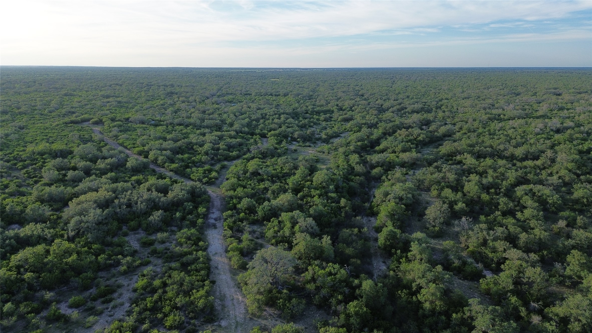6104 Lucas Road Goliad, TX 77963 - Photo 2 of 32 an aerial view of residential houses with outdoor space and trees