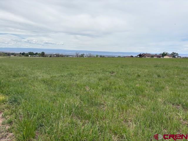 15736 2600th Road Cedaredge, CO 81413 - Photo 33 of 43 Gallery Image 33