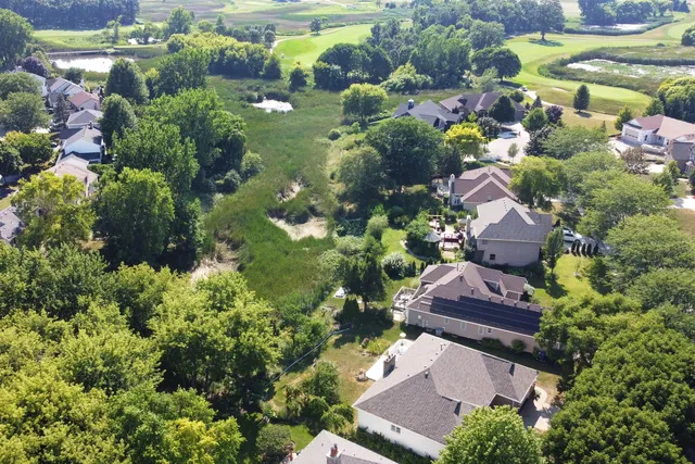 a view of flower garden