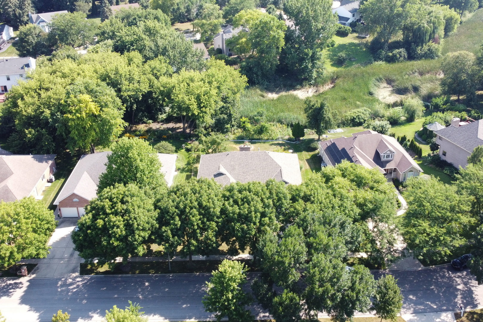 1075 Suffolk Court Gurnee, IL 60031 - Photo 49 of 51 a view of a garden with plants