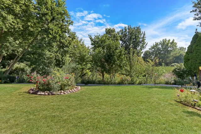 a big yard with lots of green space and plants