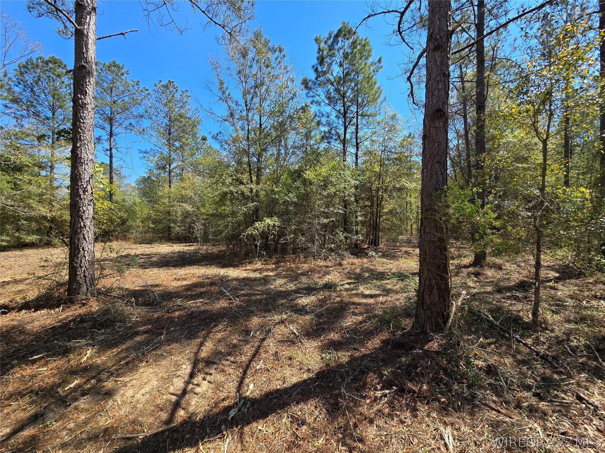 0 Will Logan Road Ozark, AL 36360 - Photo 28 of 44 Gallery Image 28