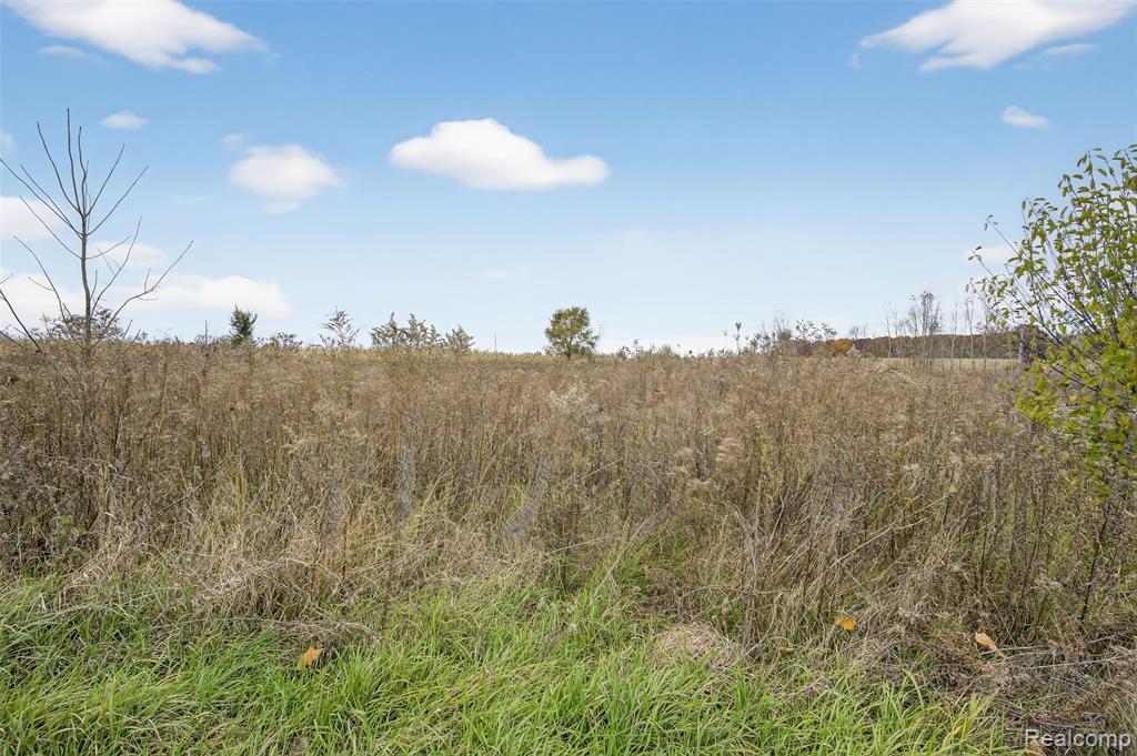 6434 Bristol Road Swartz Creek, MI 48473 - Photo 20 of 29