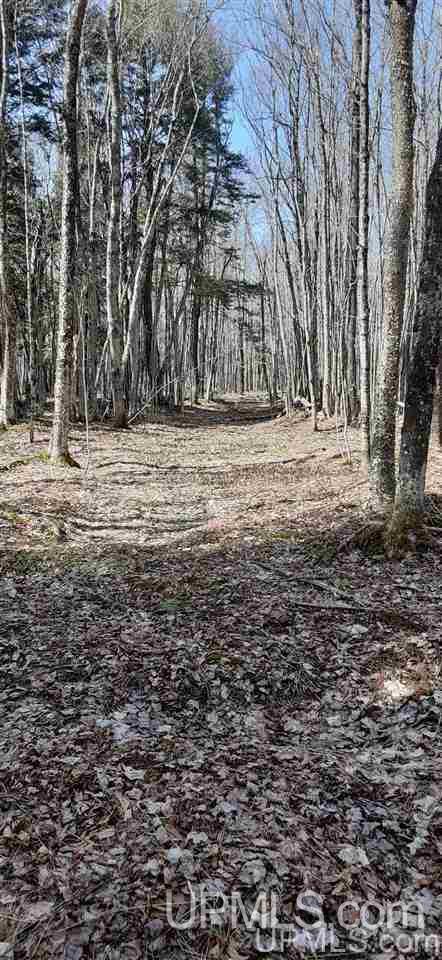 519 Co Road Ironwood, MI 49938 - Photo 6 of 8