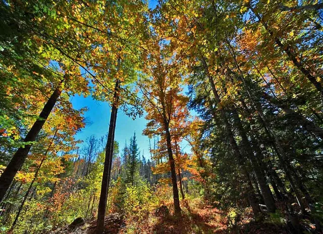 $49,500 | Lot 9 Field Road, Oakfield, ME 04763