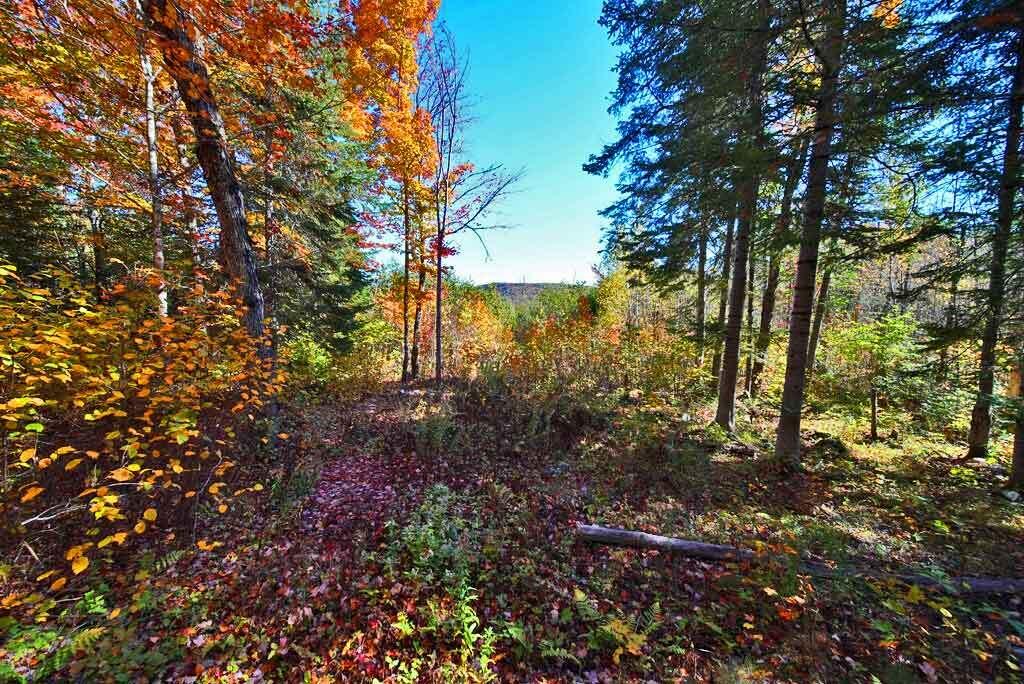 Lot 9 Field Road Oakfield, ME 04763 - Photo 29 of 41 maine-lake-property