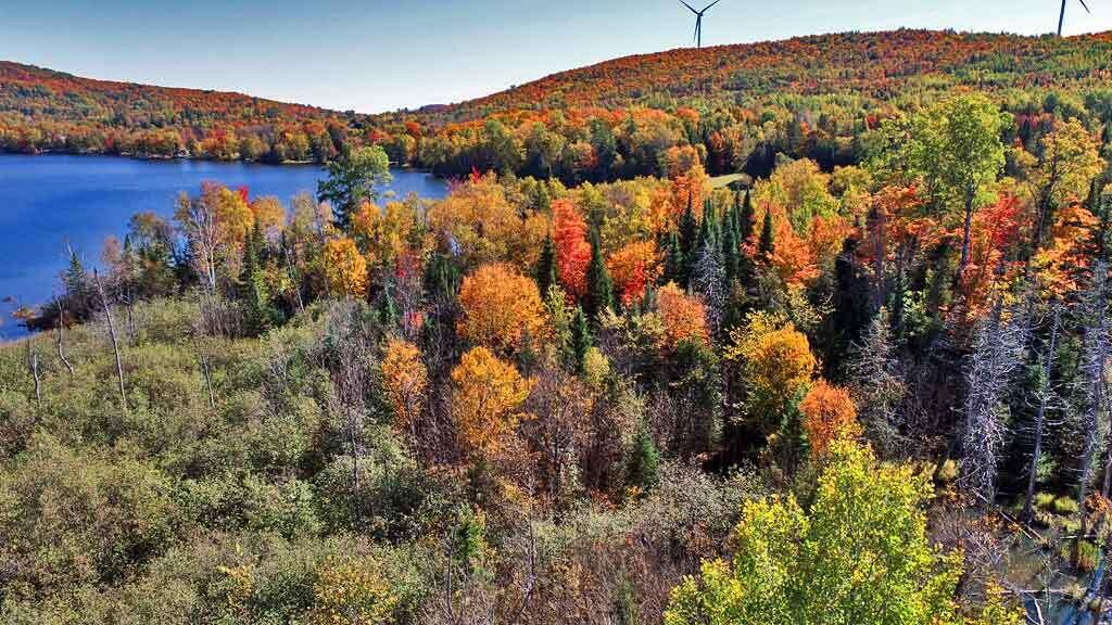 Lot 9 Field Road Oakfield, ME 04763 - Photo 35 of 41 on-maine-lake-cabin