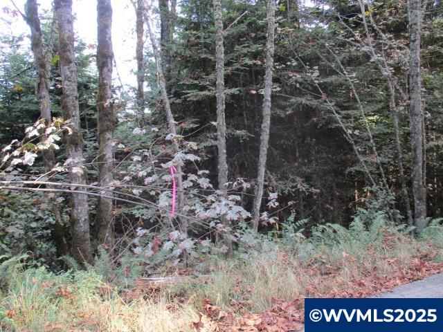Lot 900-901 Hazelnut Ridge Road Scotts Mills, OR 97375 - Photo 22 of 23 Gallery Image 22