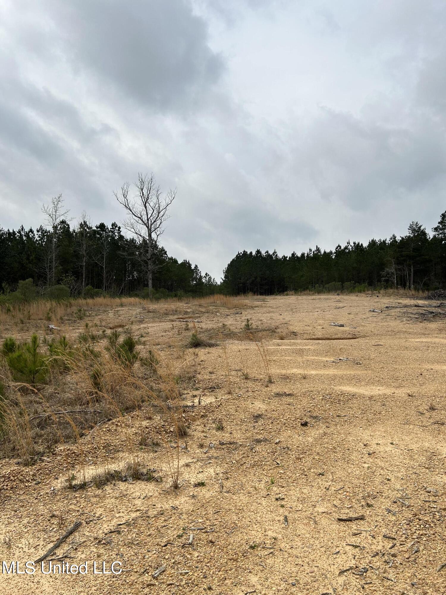 6 6 Mile Road Crystal Springs, MS 39059 - Photo 15 of 20 37718468-91D1-4EC0-B316-90850ECCCA4C