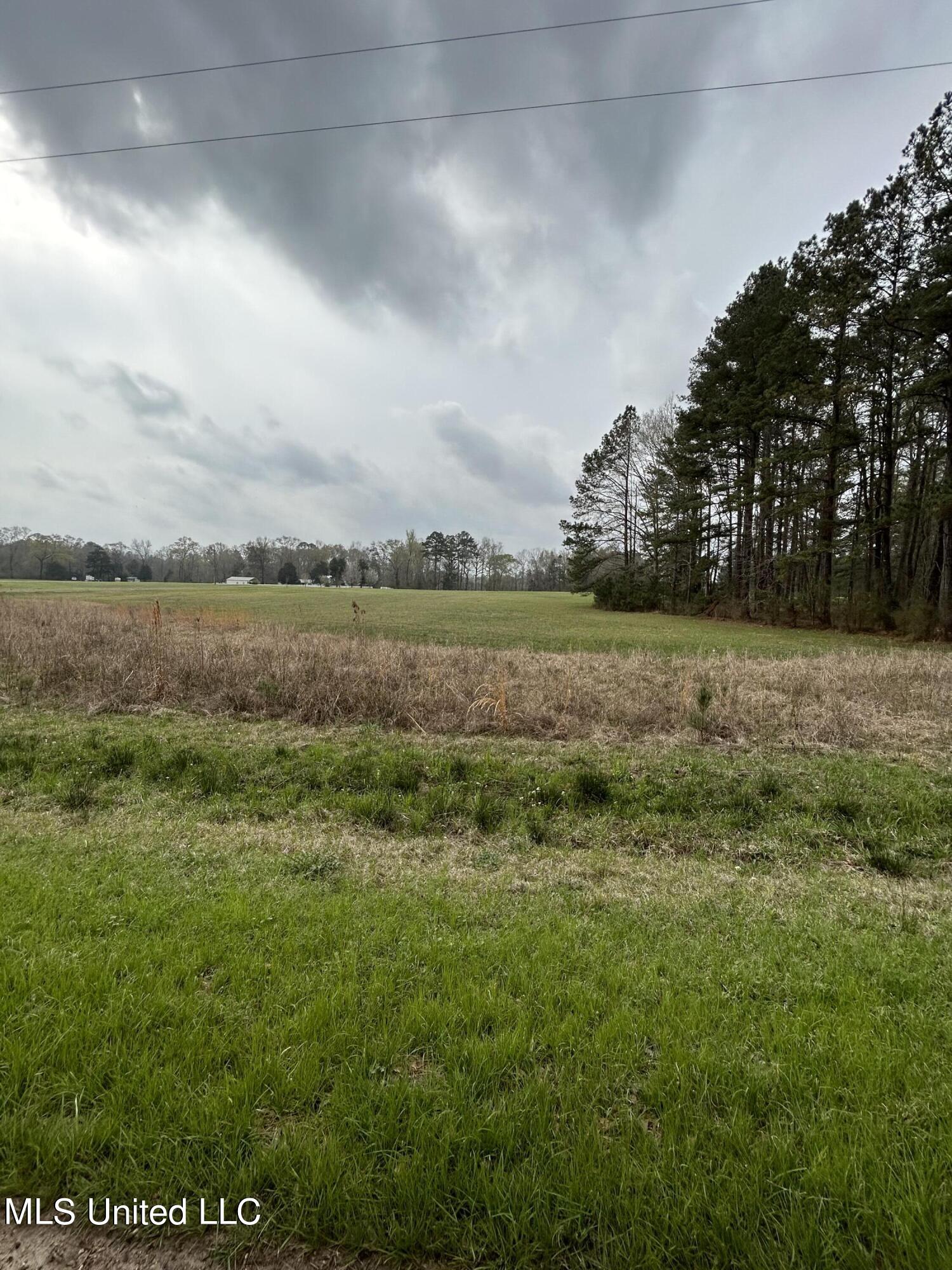 6 6 Mile Road Crystal Springs, MS 39059 - Photo 2 of 20 08983528-C84A-4AED-98DE-CE7576BB3ABD