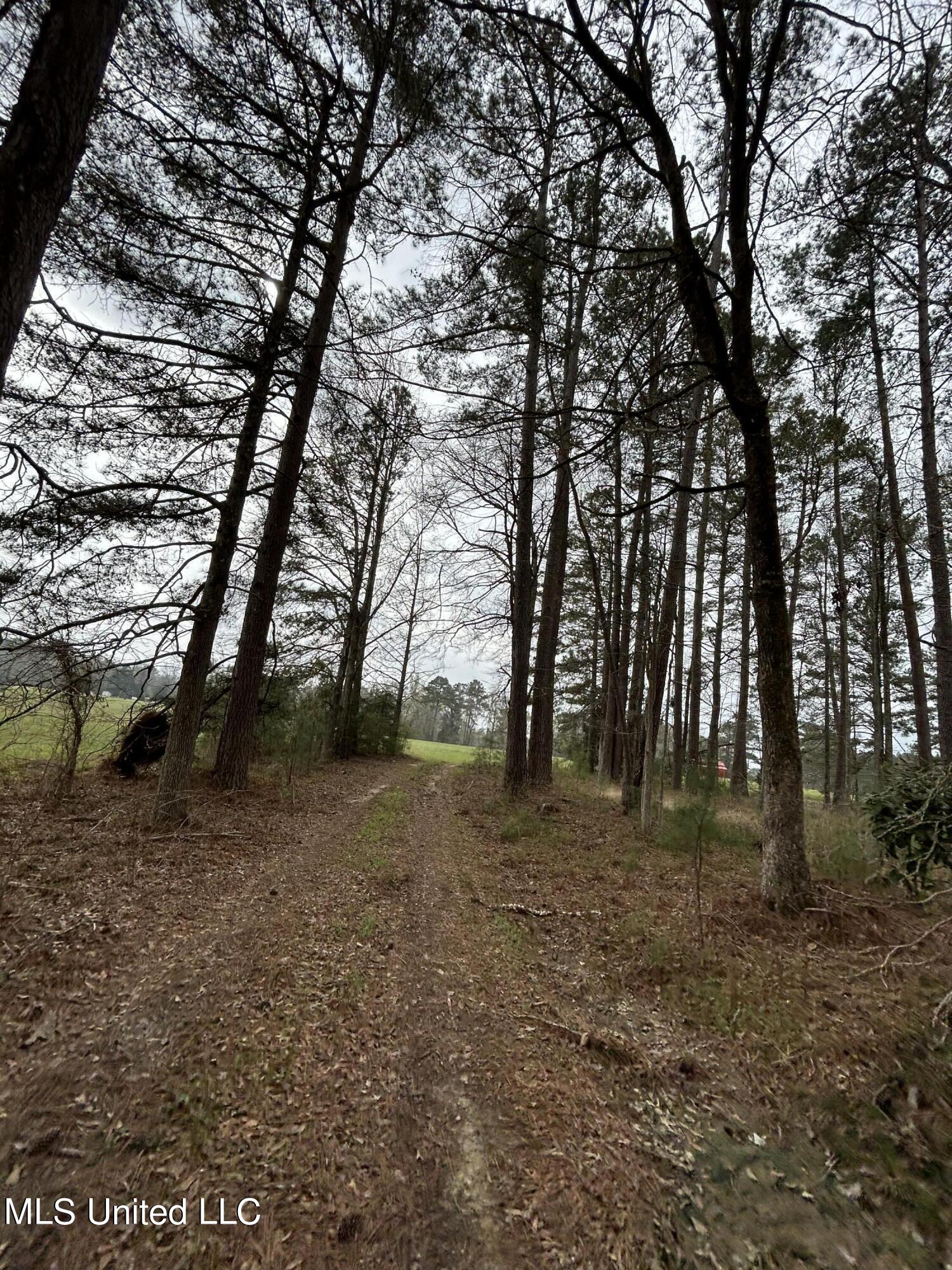 6 6 Mile Road Crystal Springs, MS 39059 - Photo 3 of 20 DF6D83D2-D42E-427B-A86A-5FA2C7B5A73E