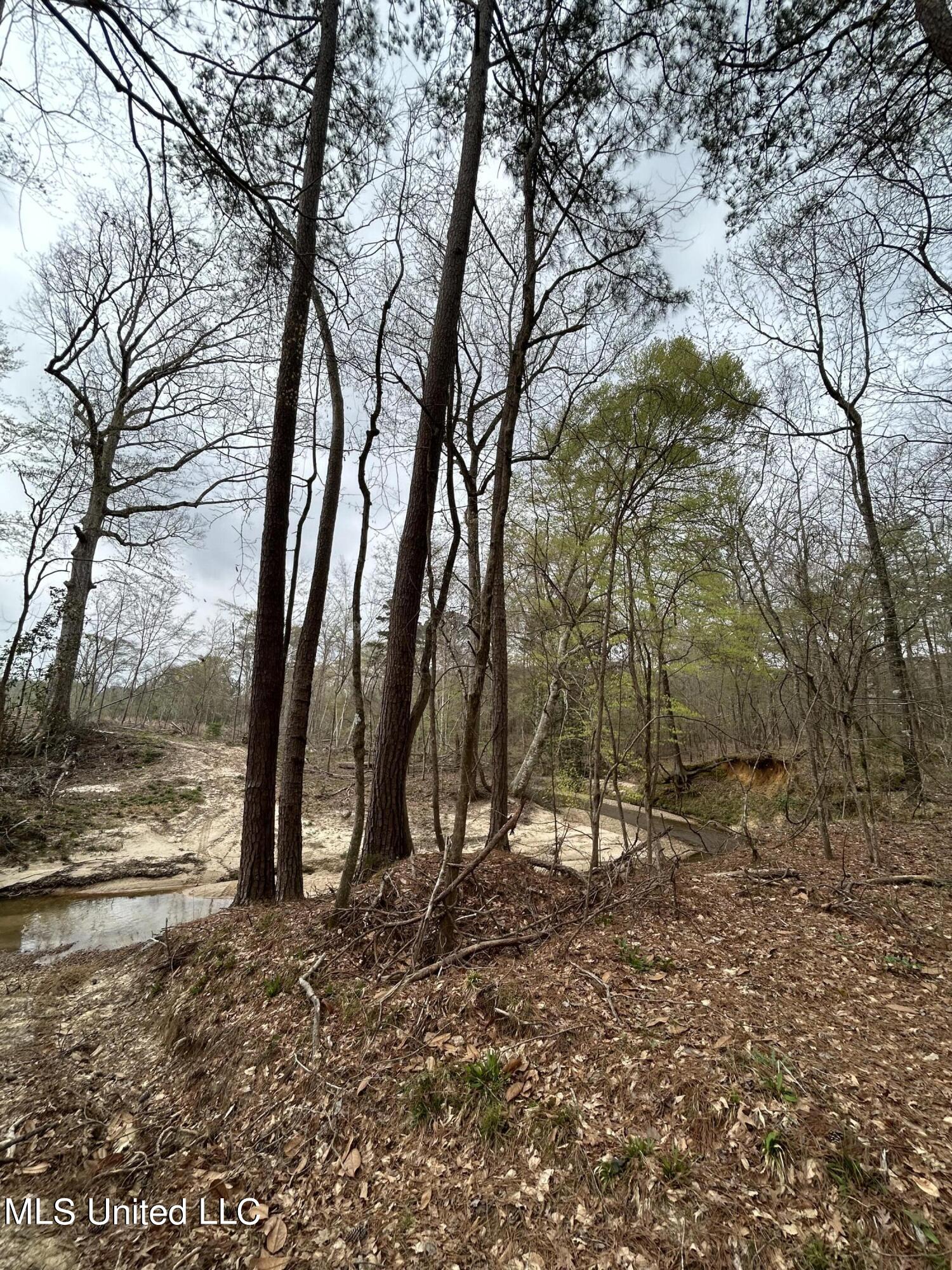 6 6 Mile Road Crystal Springs, MS 39059 - Photo 7 of 20 29E49805-E4C9-4FAB-BADE-C9090188C66E
