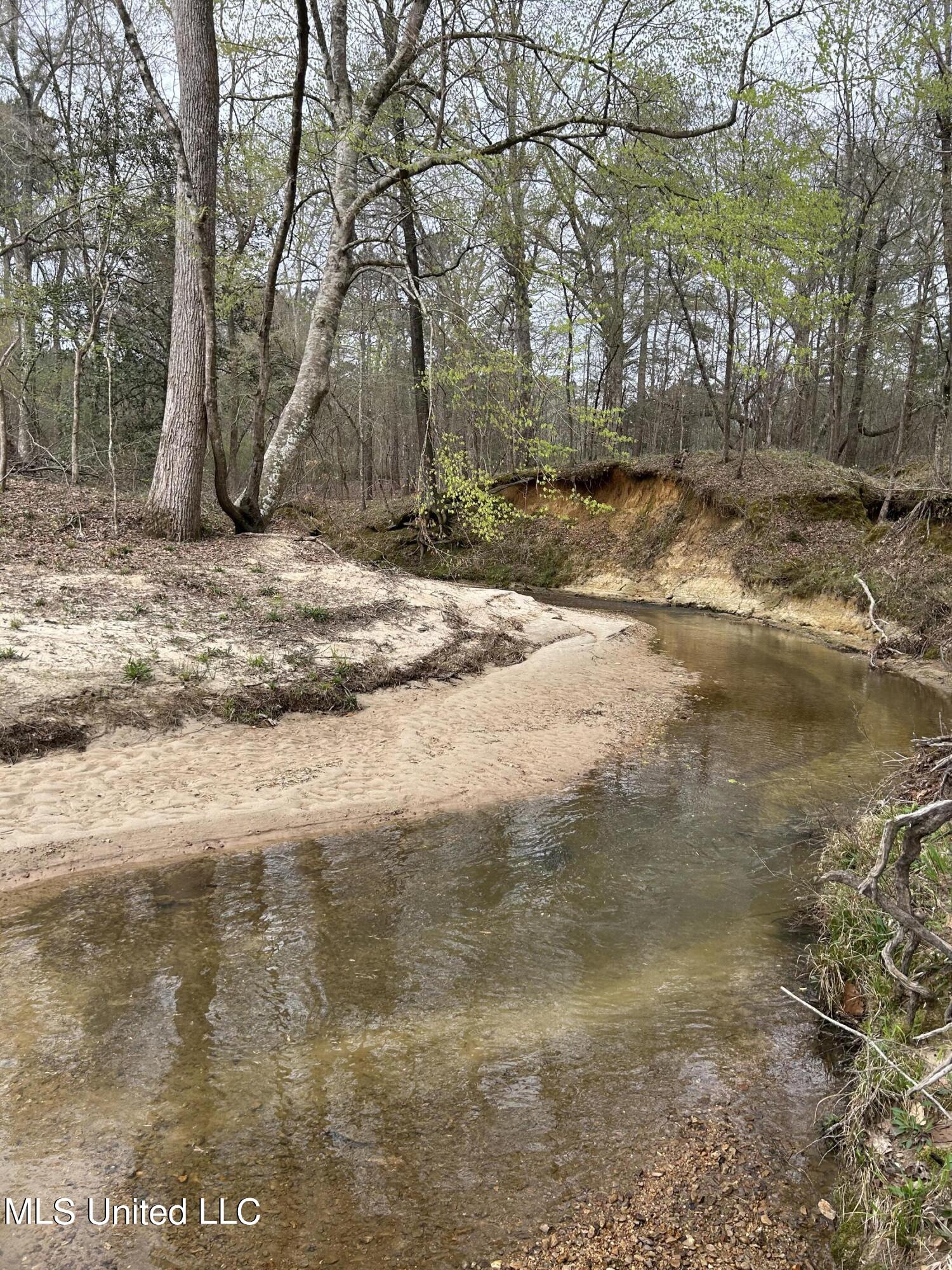 6 6 Mile Road Crystal Springs, MS 39059 - Photo 8 of 20 789B26E2-DC8C-450C-B3FD-489CF9F3908C
