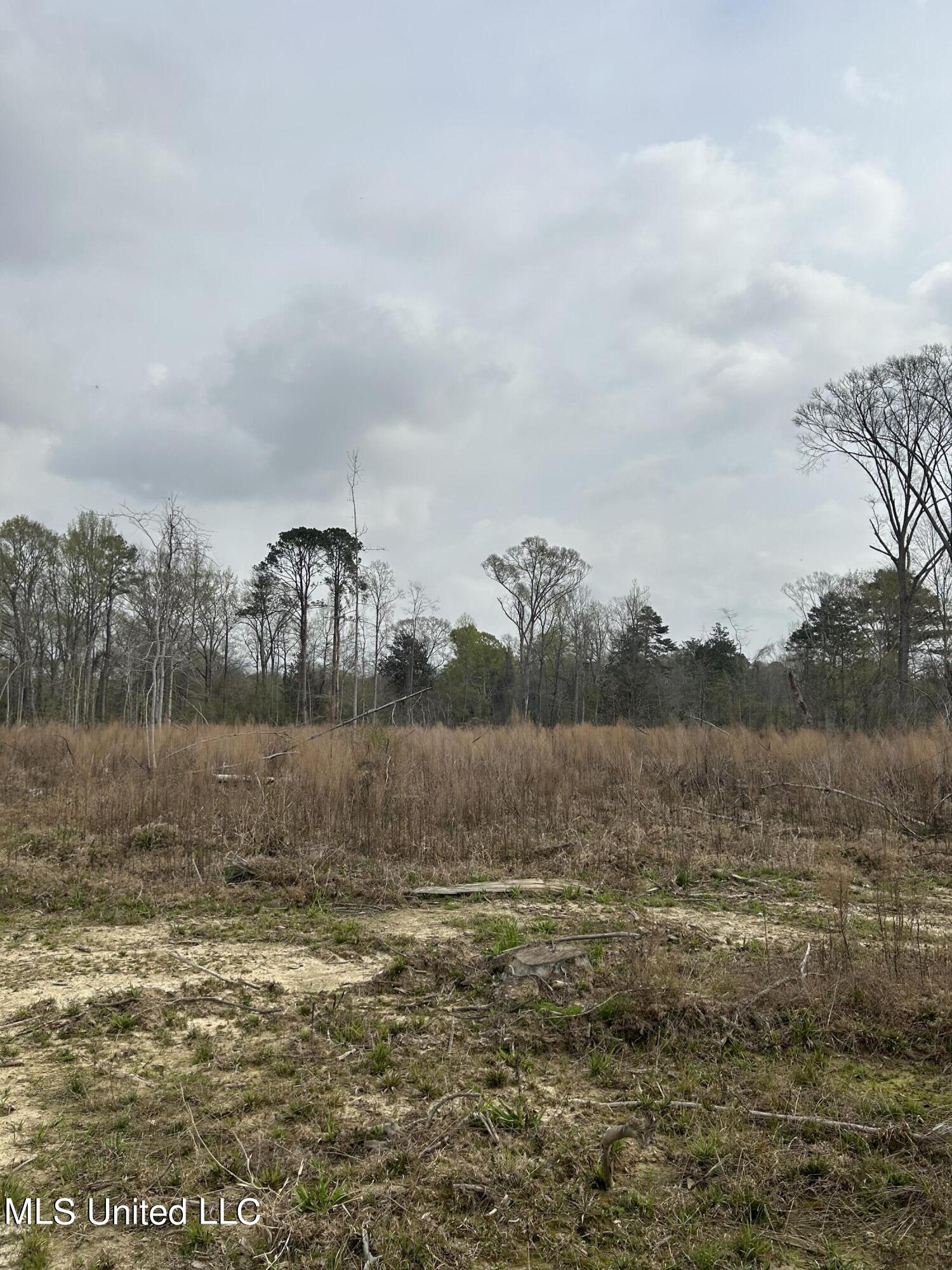 6 6 Mile Road Crystal Springs, MS 39059 - Photo 10 of 20 17DD9ACD-135D-4938-8808-DBFD5137AC61