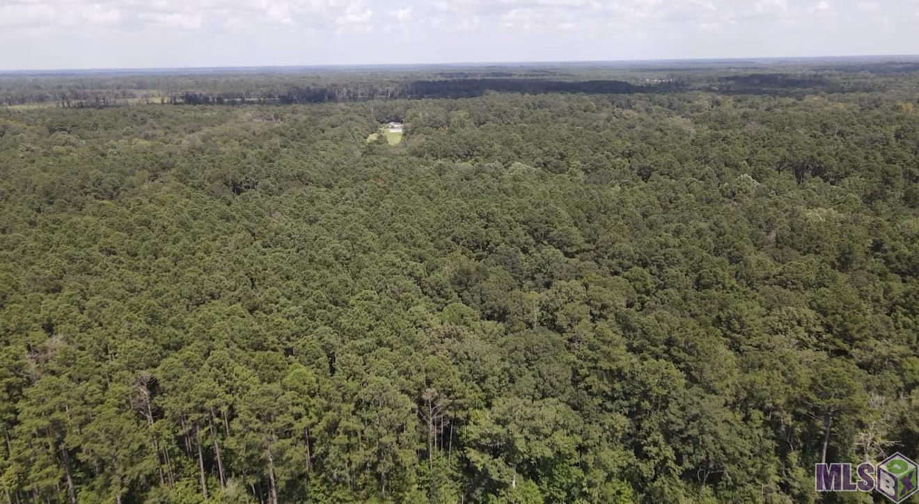 Tbd Henderson Lane Clinton, LA 70722 - Photo 3 of 10
