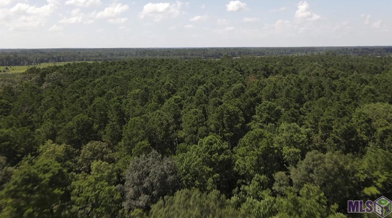 Tbd Henderson Lane Clinton, LA 70722 - Photo 4 of 10