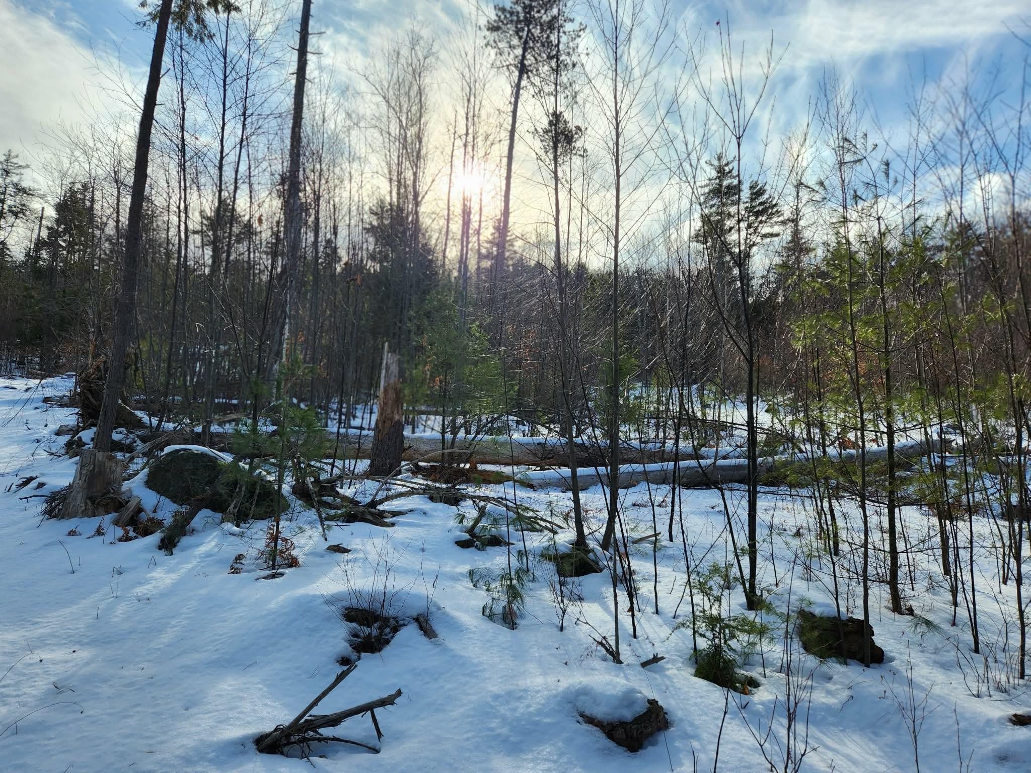 0 Munsey Road, Unit 123106 Gilmanton, NH 03237 - Photo 14 of 30 Gallery Image 14