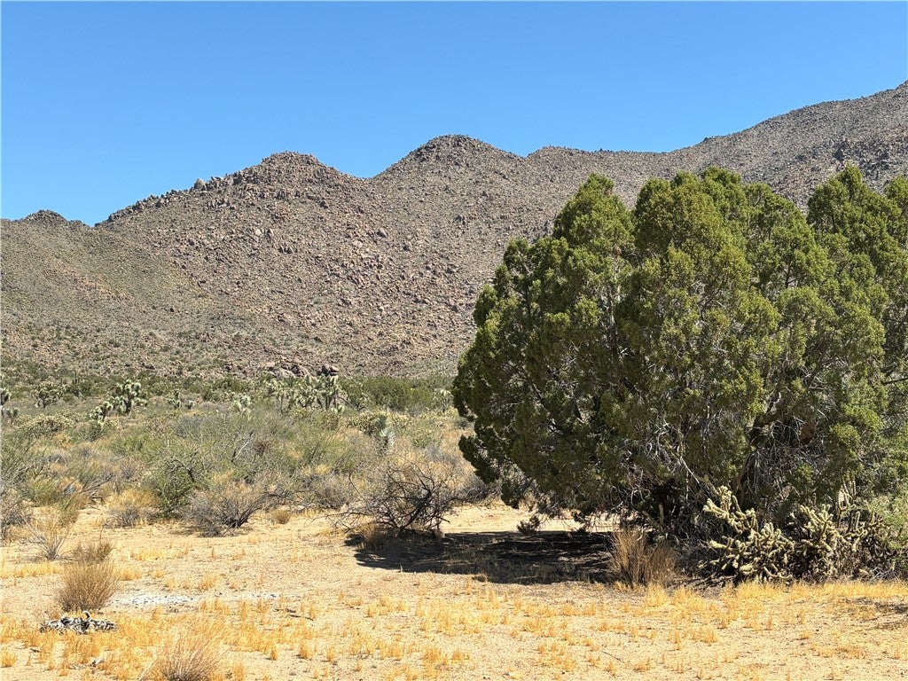 5221 East Crystal Springs Road Yucca, AZ 86438 - Photo 3 of 43 Gallery Image 3