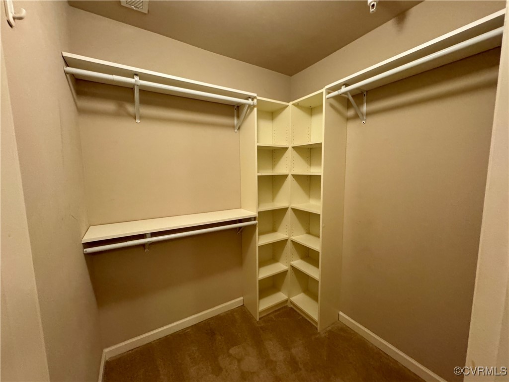 604 Bristol Village Drive, Unit 303 Midlothian, VA 23114 - Photo 9 of 18 a view of walk in closet with empty racks