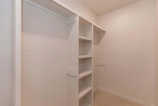 a view of an empty walk in closet