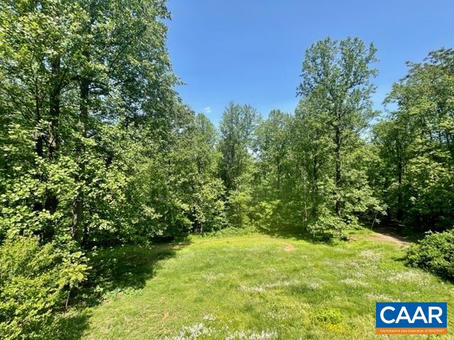 533 Simms Road Stanardsville, VA 22973 - Photo 16 of 17 a view of a yard with an tree