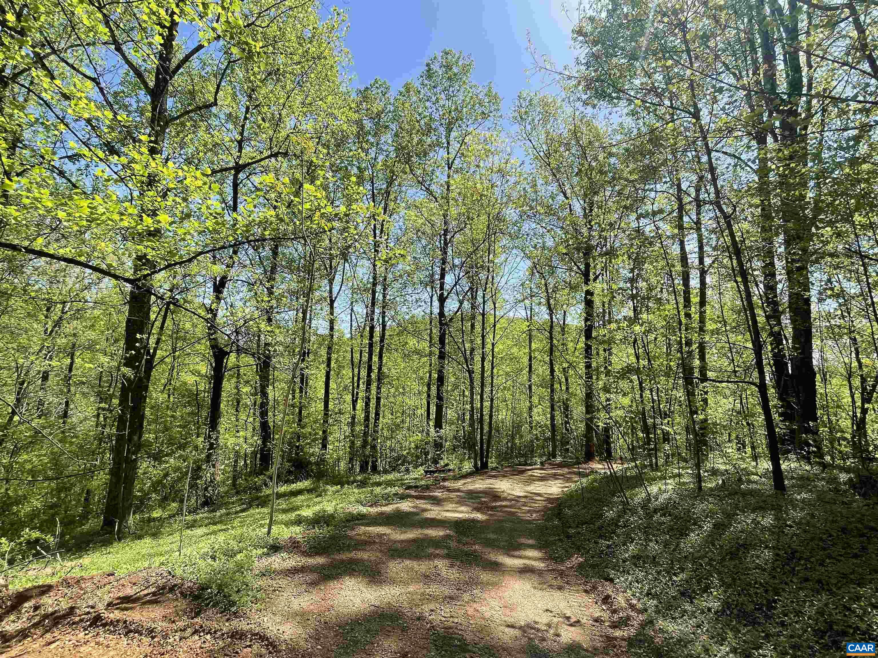 533 Simms Road Stanardsville, VA 22973 - Photo 2 of 17 a view of outdoor space and yard