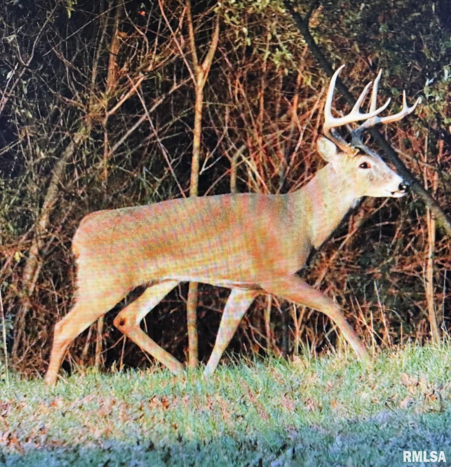 9081 Old State Rte 14 Du Quoin, IL 62832 - Photo 60 of 67