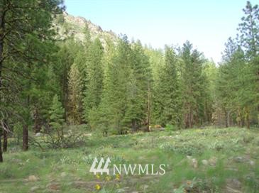 28 Last Chance Road Winthrop, WA 98862 - Photo 1 of 1 Gallery Image 1