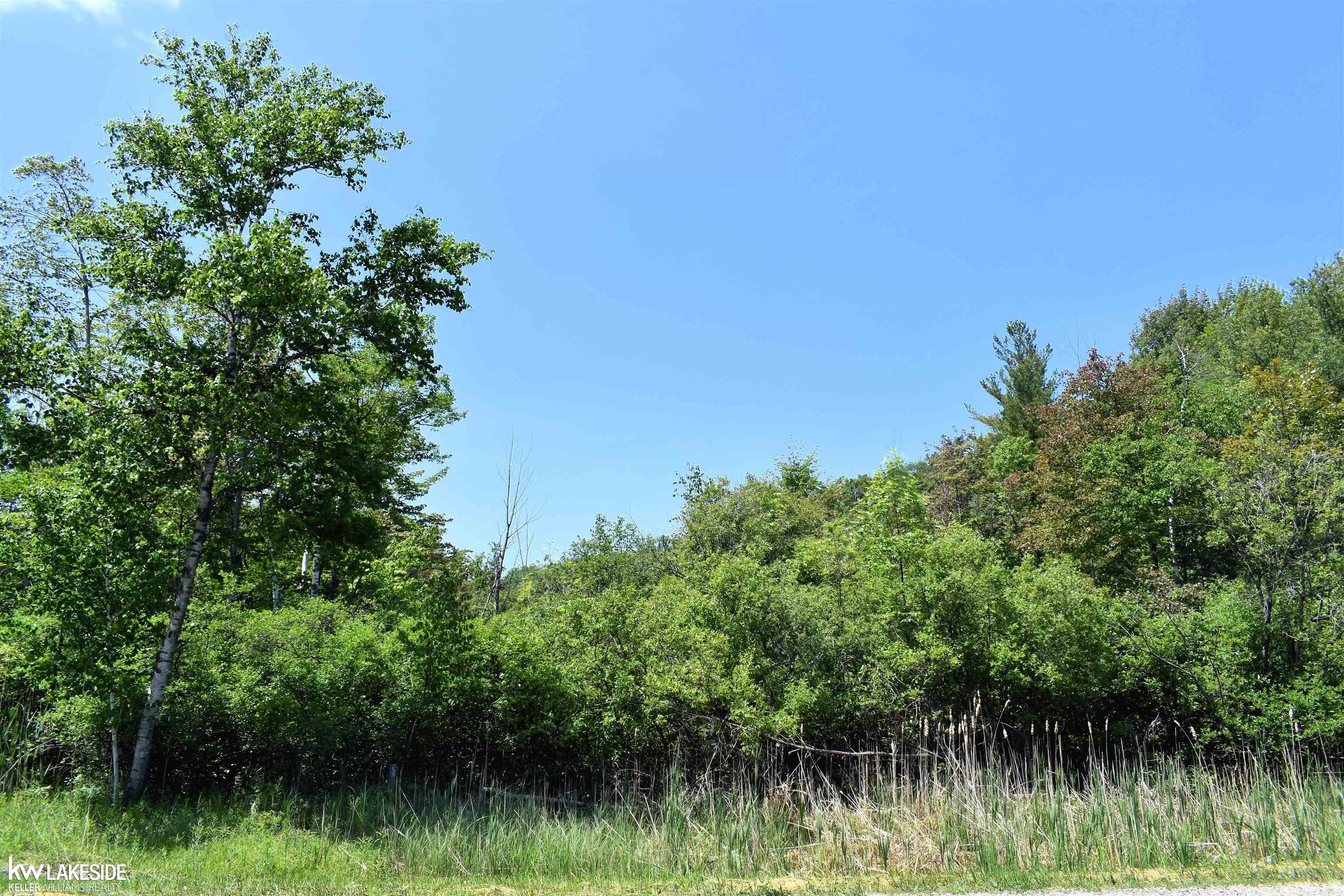 0 Oak Beach Road Port Austin, MI 48467 - Photo 3 of 22